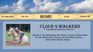 cloudwalkers_web1A.png