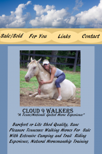 cloudwalkers_web2A.png