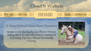 cloudwalkers_home1.png