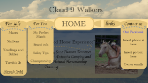 cloudwalkers_home2.png