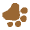 paw