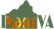 nano inno