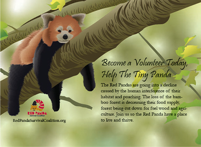 endangered animal