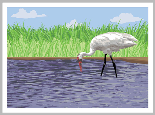 nature poster