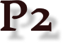 Project 2 button