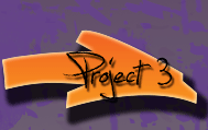 project 3