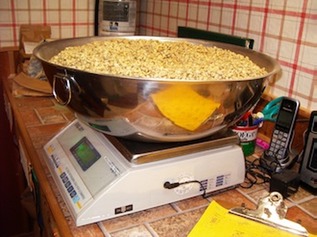 beans on a scale before roasting